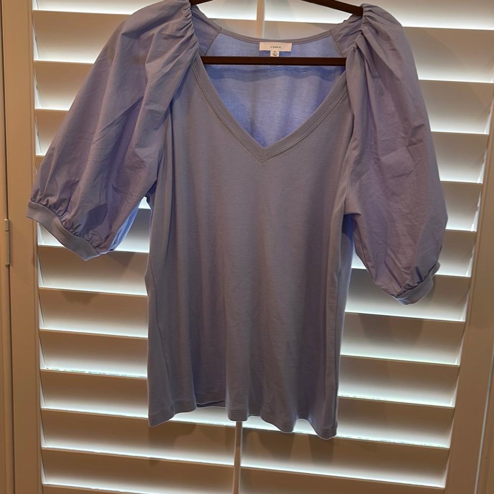 XL V-neck powder blue blouse with puffy sleeves never worn bought At Dillard’s.